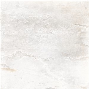 T1249108_1