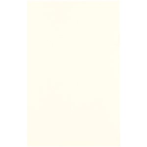 NB1900 AFFINITY MATT WHITE PLAIN WALL TILE 270X420