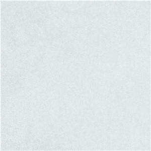 NB19748 STUDIO WHITE FLOOR & WALL TILE 600X600