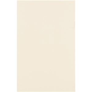 NB1800 AFFINITY JASMINE PLAIN WALL TILE 270X420