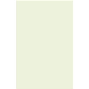 NB1860 AFFINITY WARM WHITE PLAIN WALL TILE 270X420