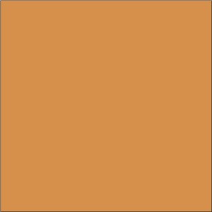 TC723 CITRUS ORANGE GLOSS 148X148 - N&C IKON PLAIN COLOUR