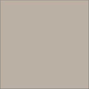 TC749 COSY LATTE GLOSS 148X148 - N&C IKON PLAIN COLOUR