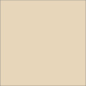 TC772 BUTTERMILK CREAM MATT 148X148 - N&C IKON PLAIN COLOUR