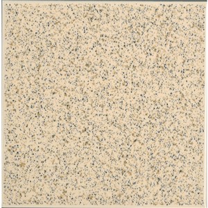 TCS600 GLOSS BEIGE SPECKLES 150X150 - N&C NICOBOND IKON PLAIN COLOUR