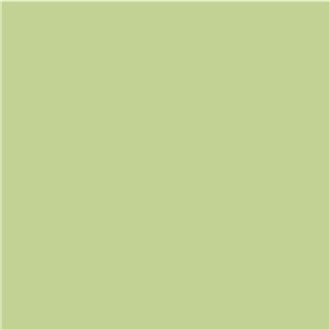 PRG40 GLOSS PISTACHIO 150X150MM