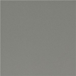 PRG101 GLOSS ASH 150X150MM