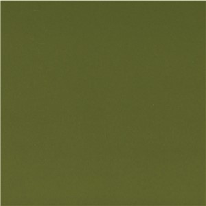 PRG117 GLOSS OLIVE 150X150MM